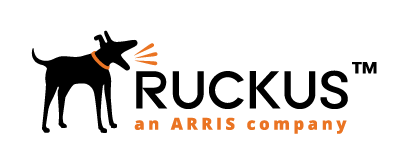 Ruckus Networks Ruckus Networks