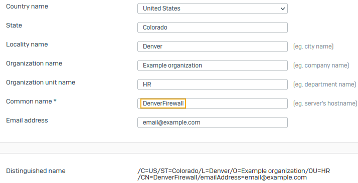 Firewall's hostname as common name.