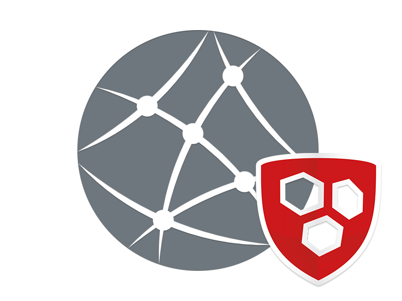 Network Protection